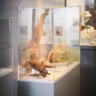 Vitrine sur mesure collée