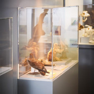 Vitrine sur mesure collée