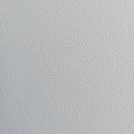 PPH FOAMLITE® Blanc Grainé 10 mm